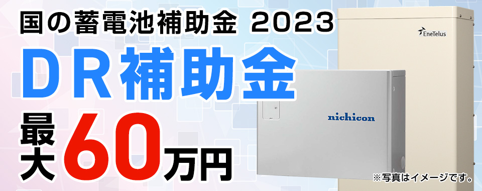 DR補助金