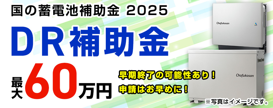 DR補助金2025